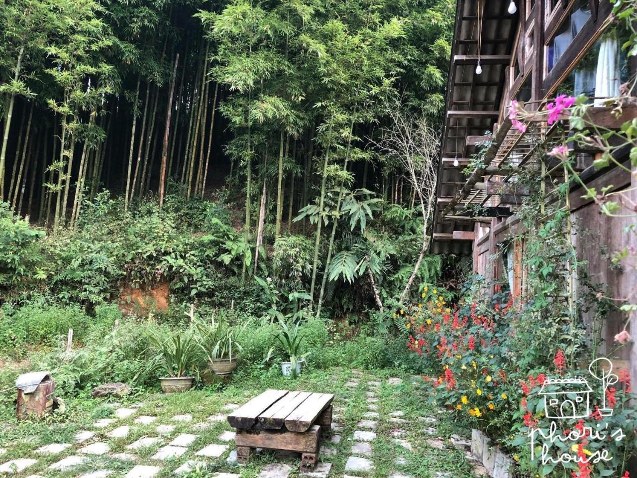 Phori'S House - Bamboo Forest Sa Pa Zewnętrze zdjęcie